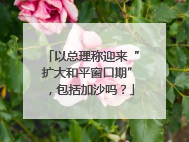 以总理称迎来“扩大和平窗口期”，包括加沙吗？