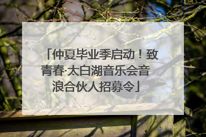 仲夏毕业季启动！致青春·太白湖音乐会音浪合伙人招募令