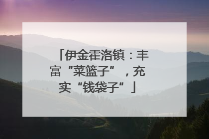 伊金霍洛镇：丰富“菜篮子”，充实“钱袋子”
