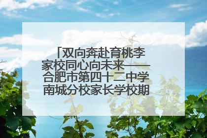 双向奔赴育桃李 家校同心向未来——合肥市第四十二中学南城分校家长学校期末总结会圆满召开