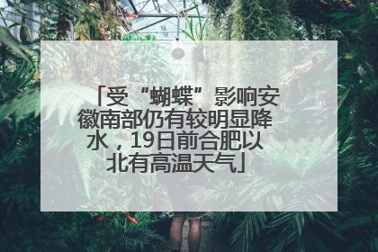 受“蝴蝶”影响安徽南部仍有较明显降水,19日前合肥以北有高温天气