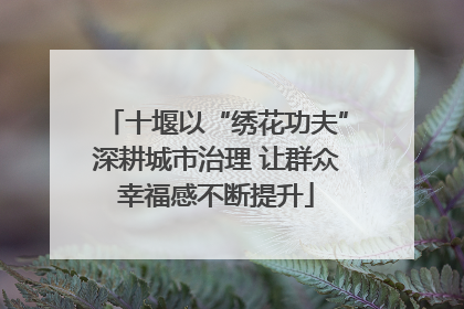 十堰以“绣花功夫”深耕城市治理 让群众幸福感不断提升