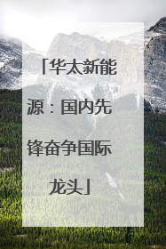 华太新能源：国内先锋奋争国际龙头