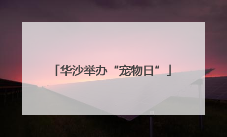 华沙举办“宠物日”