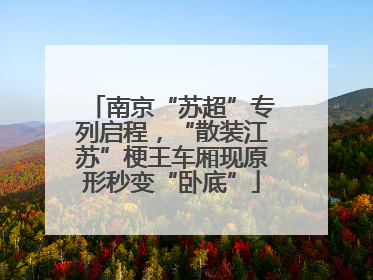 南京“苏超”专列启程，“散装江苏”梗王车厢现原形秒变“卧底”