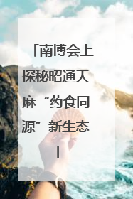 南博会上探秘昭通天麻“药食同源”新生态