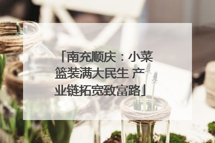 南充顺庆：小菜篮装满大民生 产业链拓宽致富路