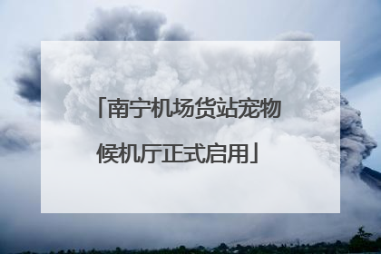 南宁机场货站宠物候机厅正式启用