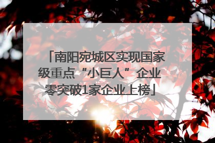 南阳宛城区实现国家级重点“小巨人”企业零突破1家企业上榜