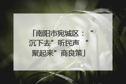 南阳市宛城区：“沉下去”听民声 “聚起来”商良策