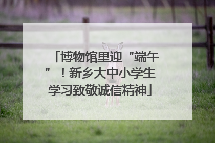 博物馆里迎“端午”！新乡大中小学生学习致敬诚信精神