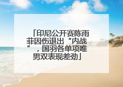 印尼公开赛陈雨菲因伤退出“内战”，国羽各单项唯男双表现差劲
