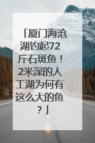 厦门海沧湖钓起72斤石斑鱼！2米深的人工湖为何有这么大的鱼？