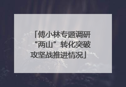 傅小林专题调研“两山”转化突破攻坚战推进情况