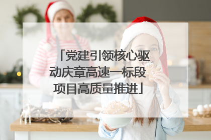 党建引领核心驱动庆章高速一标段项目高质量推进