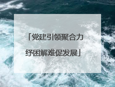 党建引领聚合力 纾困解难促发展