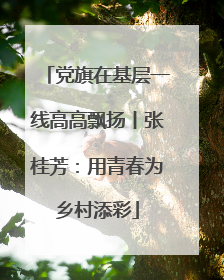 党旗在基层一线高高飘扬丨张桂芳：用青春为乡村添彩