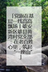 党旗在基层一线高高飘扬丨雄安新区雄县黄湾村党支部：在老百姓心里，筑起“一座山”