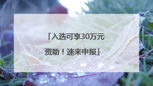 入选可享30万元资助！速来申报