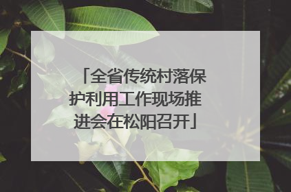 全省传统村落保护利用工作现场推进会在松阳召开