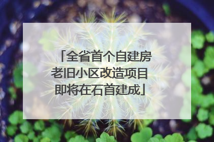 全省首个自建房老旧小区改造项目即将在石首建成