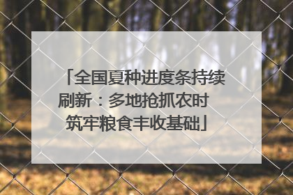 全国夏种进度条持续刷新：多地抢抓农时 筑牢粮食丰收基础