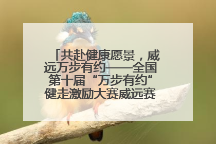 共赴健康愿景，威远万步有约——全国第十届“万步有约”健走激励大赛威远赛区启动仪式