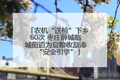 农机“送检”下乡60次 枣庄薛城临城街道为夏粮收割添“安全引擎”