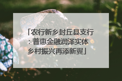农行新乡封丘县支行：普惠金融润泽实体 乡村振兴再添新翼