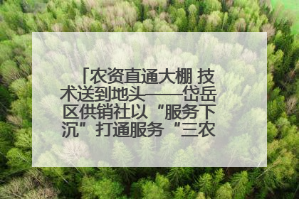 农资直通大棚 技术送到地头——岱岳区供销社以“服务下沉”打通服务“三农”最后一公里