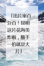 出片率百分百！昆明这片花海美炸啦，随手一拍就是大片