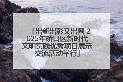 出新出彩又出圈 2025年硚口区新时代文明实践优秀项目展示交流活动举行
