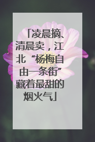 凌晨摘、清晨卖，江北“杨梅自由一条街”藏着最甜的烟火气