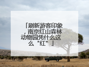 刷新游客印象，南京红山森林动物园凭什么这么“红”