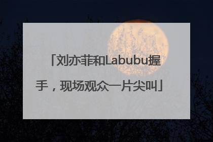刘亦菲和Labubu握手，现场观众一片尖叫