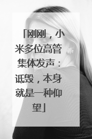 刚刚，小米多位高管集体发声：诋毁，本身就是一种仰望
