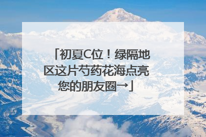 初夏C位！绿隔地区这片芍药花海点亮您的朋友圈→