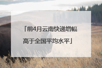 前4月云南快递增幅高于全国平均水平