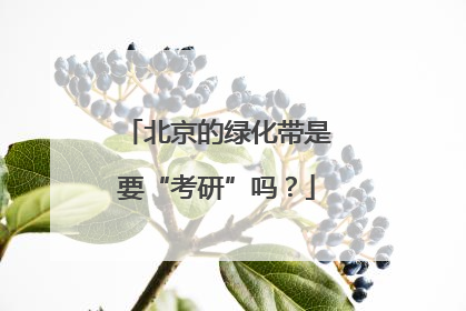 北京的绿化带是要“考研”吗？