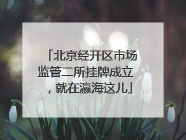 北京经开区市场监管二所挂牌成立，就在瀛海这儿