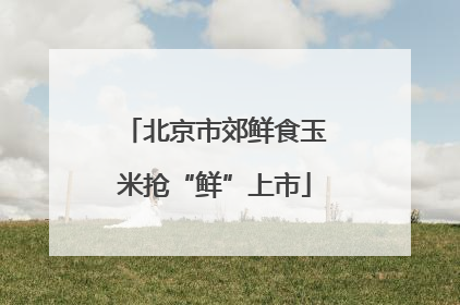 北京市郊鲜食玉米抢“鲜”上市