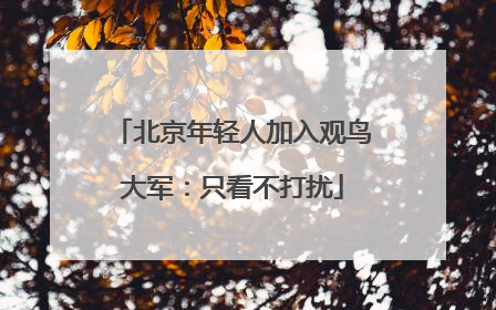 北京年轻人加入观鸟大军：只看不打扰