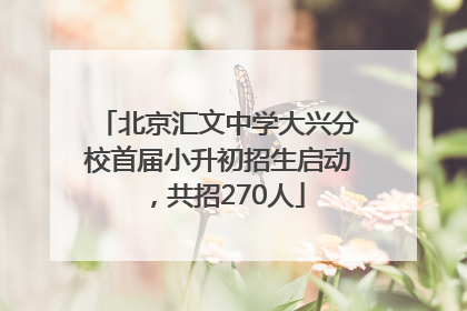 北京汇文中学大兴分校首届小升初招生启动，共招270人