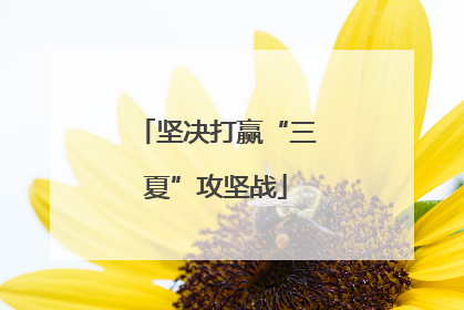 坚决打赢“三夏”攻坚战