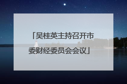 吴桂英主持召开市委财经委员会会议