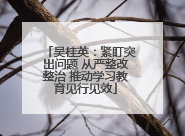 吴桂英：紧盯突出问题 从严整改整治 推动学习教育见行见效