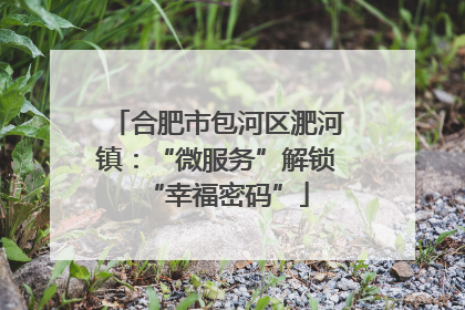 合肥市包河区淝河镇：“微服务”解锁“幸福密码”