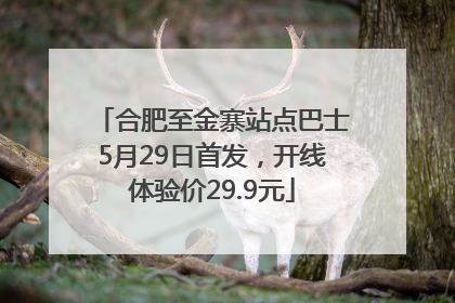 合肥至金寨站点巴士5月29日首发，开线体验价29.9元