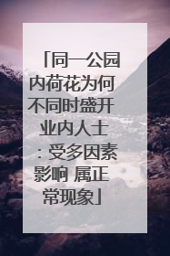 同一公园内荷花为何不同时盛开 业内人士：受多因素影响 属正常现象