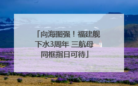向海图强！福建舰下水3周年 三航母同框指日可待